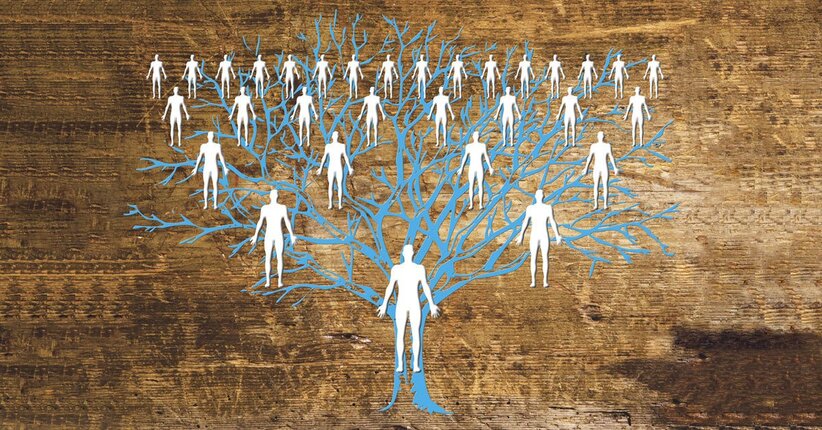 Costellazioni Biologiche e Sensate